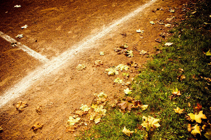 无人,横图,俯视,室外,白天,旅游,度假,草地,草坪,美景,植物,道路,路,叶子,阴影,反射,影子,景观,小路,枯叶,落叶,交通,娱乐,草,绿色,自然,享受,休闲,景色,放松,乡间小路,自然风光,叶,叶片,彩图,高角度拍摄