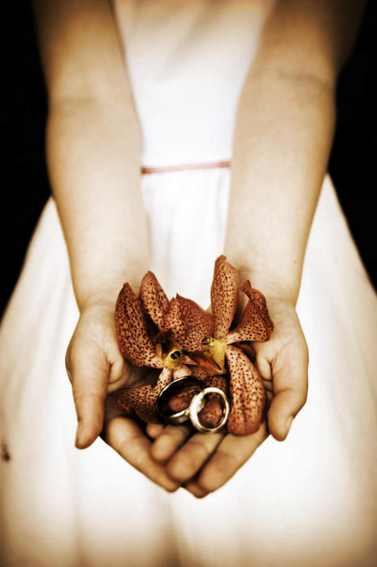 西方人,儿童,手,一个人,捧,竖图,俯视,室内,特写,白天,纯洁,光晕,欧洲,欧洲人,双手,仅一个女性,仅一个人,一堆,一条,许多,堆叠,堆积,黑色背景,反光,很多,花瓣,花朵,鲜花,小孩,黄色,红色,白色,仅一个小孩,手部,可爱,童年,童趣,摄影,影棚,伴娘,堆,童真,烂漫,无邪,天真,女孩,女人,女性,白种人,孩子,端,端着,捧着,手捧,半身,彩图,高角度拍摄,影棚拍摄,婚礼服,礼服,拍摄,女生