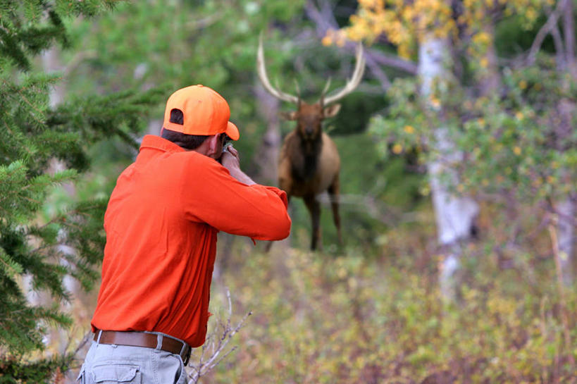 西方人,一个人,站,横图,室外,白天,树林,植物,哺乳动物,鹿,野生动物,欧洲,欧洲人,仅一个男性,仅一个人,阴影,光线,影子,注视,树,树木,仅一个年轻男性,一只,背面,绿色,阳光,自然,动物,观察,看,站着,可爱,活泼,生长,成长,观看,察看,关注,鹿角,打猎,猎人,男人,男性,年轻男性,白种人,站立,半身,彩图