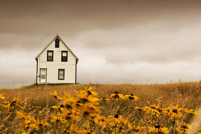无人,家,横图,室外,白天,正面,旅游,度假,美景,植物,一幢,许多,房屋,屋子,地平线,景观,乌云,云,阴天,云朵,辽阔,地面,花蕾,云彩,娱乐,楼房,住宅,花瓣,花朵,花卉,鲜花,天空,自然,天,花苞,享受,休闲,广阔,菊花,景色,放松,一望无际,昏暗,阴沉,自然风光,延伸,金光菊,天地相交,臭菊,黑眼菊,无边无际,一马平川,彩图,房子