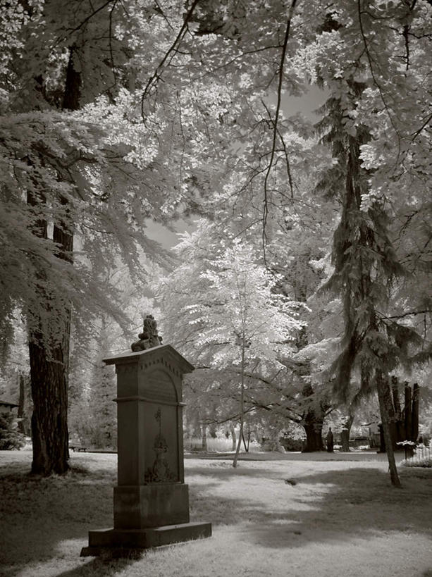 无人,竖图,黑白,室外,白天,正面,旅游,度假,草地,草坪,美景,植物,阴影,光线,影子,景观,娱乐,草,树,树木,阳光,自然,墓碑,享受,休闲,墓地,景色,放松,生长,成长,自然风光,坟场