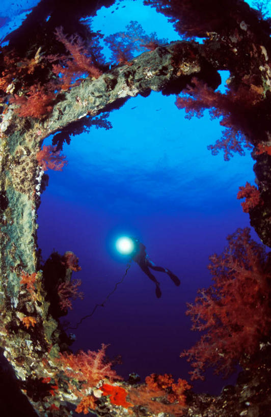 游泳,西方人,一个人,竖图,室内,白天,正面,锻炼,旅游,度假,运动,海底,水下,海浪,海洋,美景,照明,欧洲,非洲,欧洲人,仅一个男性,仅一个人,潜水员,波纹,珊瑚,景观,浪花,水底,灯光,涟漪,娱乐,珊瑚礁,灯,仅一个年轻男性,水纹,自然,海水,波浪,享受,休闲,蛙鞋,景色,放松,海底世界,潜水服,潜水,脚蹼,照亮,照明设备,自然风光,手电筒,潜水装备,海景,电筒,手电,海底礁,水晕,浮潜,潜水运动,体育,男人,男性,年轻男性,白种人,非洲人,大海,风浪,海,海床,海水的波动,礁,近岸浪,岩石,涌浪,彩图,全身,健身