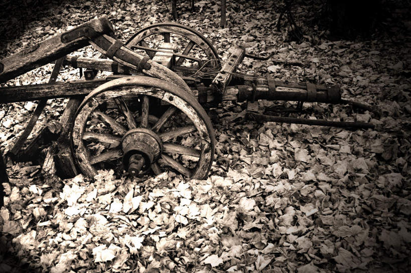 无人,横图,俯视,黑白,室外,白天,旅游,度假,美景,秋季,叶子,木制,轮子,景观,枯叶,落叶,娱乐,自然,木制品,享受,休闲,景色,放松,腐烂,自然风光,腐败,腐臭,腐朽,叶,叶片,秋,秋天,高角度拍摄