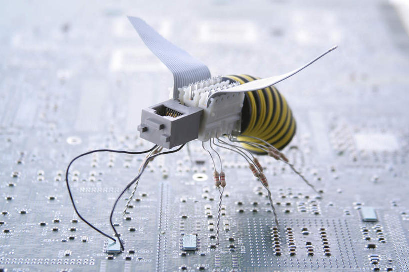 无人,横图,室内,特写,白天,正面,模糊,电力,昆虫,电路板,电线,线,电能,线路,动物,电,电源,电源线,能量,黄蜂,益虫,胡蜂,马蜂,蚂蜂,含糊,恍惚,模胡,依稀,隐约,彩图