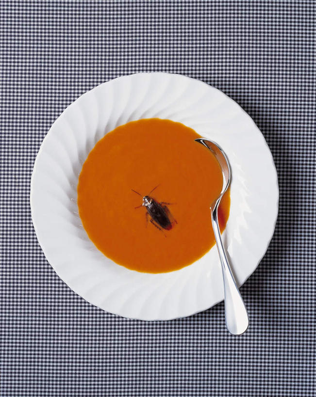 无人,竖图,俯视,室内,特写,白天,餐桌,桌子,蟑螂,餐具,细菌,昆虫,布料,碟子,盘,勺子,陶瓷,汤,陶瓷制品,布纹,桌布,一个,一只,紫色,动物,盘子,餐巾,调羹,碟,台布,汤匙,橙色,单个,餐台,病菌,害虫,传染,四害,小强,蜚蠊,彩图,高角度拍摄