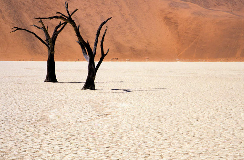 无人,横图,室外,白天,正面,旅游,度假,美景,沙漠,非洲,纳米比亚,枯萎,墙,景观,树桩,娱乐,墙壁,墙面,树,树干,自然,享受,休闲,木桩,景色,放松,死亡,自然风光,纳米比亚共和国,枯败,大漠,砂漠,彩图