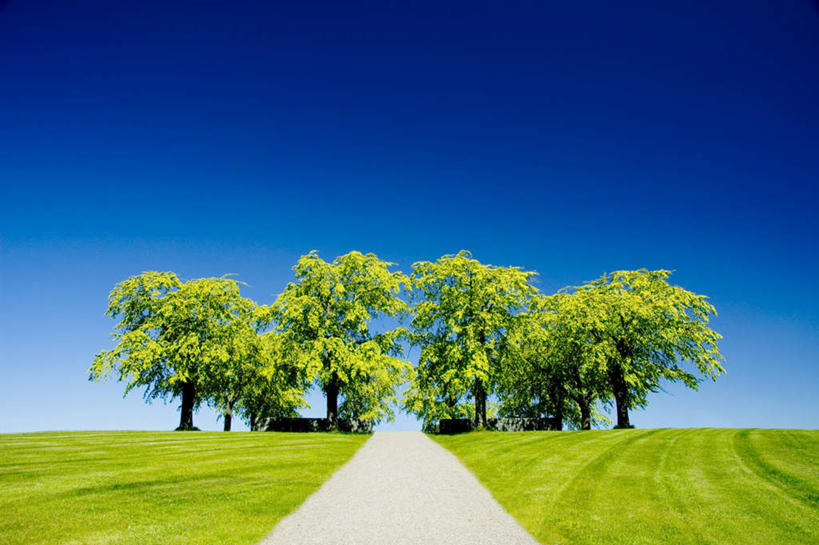 无人,横图,室外,白天,仰视,旅游,度假,草地,草坪,美景,植物,道路,路,景观,小路,交通,娱乐,草,树,树木,蓝色,绿色,蓝天,天空,自然,天,享受,休闲,景色,放松,乡间小路,生长,晴朗,成长,笔直,自然风光,延伸,万里无云,笔挺,延长,晴空,晴空万里,彩图,低角度拍摄