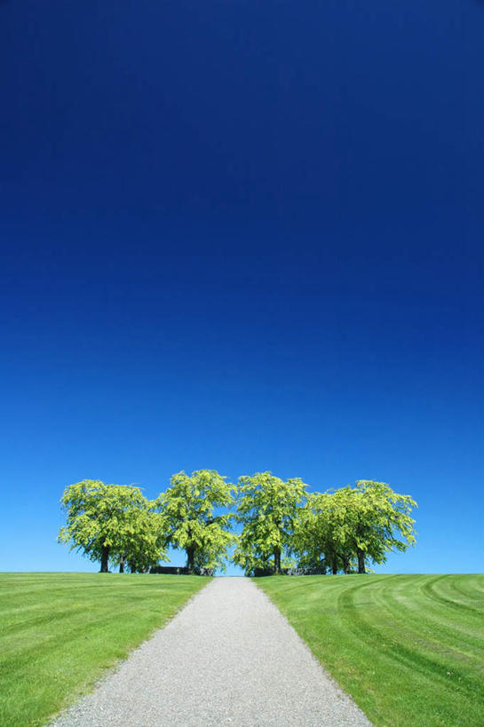 无人,竖图,室外,白天,仰视,旅游,度假,草地,草坪,美景,植物,道路,路,景观,小路,交通,娱乐,草,树,树木,蓝色,绿色,蓝天,天空,自然,天,享受,休闲,景色,放松,乡间小路,生长,晴朗,成长,笔直,自然风光,延伸,万里无云,笔挺,延长,晴空,晴空万里,彩图,低角度拍摄