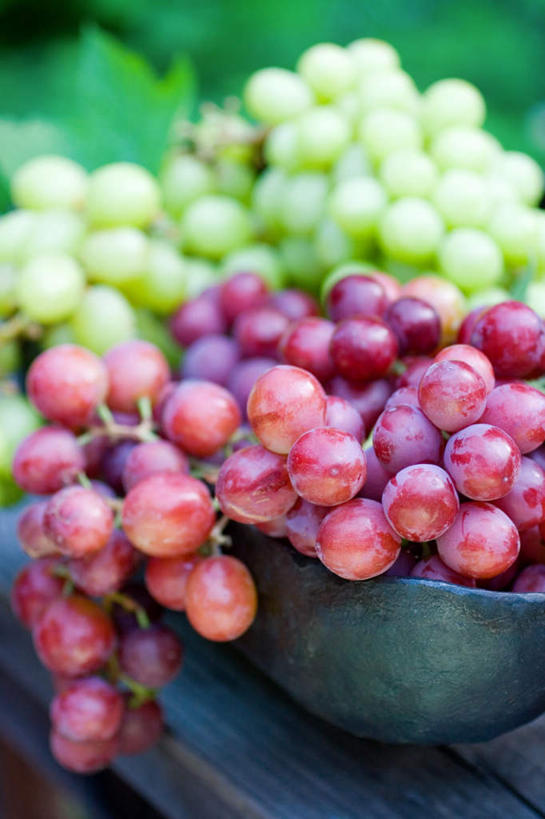 无人,竖图,俯视,室外,白天,桌面,桌子,葡萄,水果,许多,阴影,朦胧,模糊,新鲜,光线,木制,影子,生食,食品,果实,食物,绿色,紫色,阳光,木制品,容器,有机食品,绿色食品,储藏,储存,瓢,山葫芦,蒲桃,草龙珠,彩图,高角度拍摄,贮存