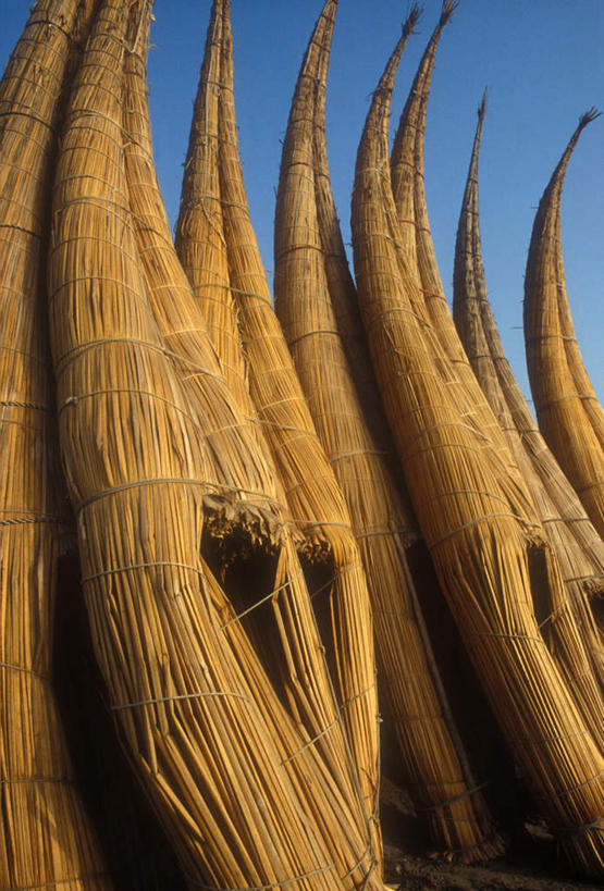 无人,竖图,室外,白天,正面,旅游,度假,美景,船,秘鲁,一排,许多,整齐,景观,木船,很多,娱乐,排列,自然,交通工具,享受,休闲,景色,南美,放松,南美洲,舟,拉丁美洲,队列,自然风光,载具,独木舟,美洲,秘鲁共和国,亚美利加洲,南亚美利加洲,玉米之仓,独木船,彩图