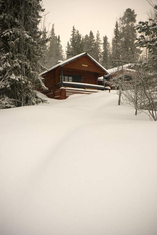 无人,家,竖图,室外,白天,仰视,旅游,度假,北极,美景,树林,雪,植物,大雪,阴影,光线,木制,影子,房屋,屋子,积雪,景观,雪景,冬季,冬天,娱乐,楼房,住宅,树,树木,绿色,天空,阳光,自然,木制品,天,享受,休闲,景色,放松,寒冷,生长,成长,冰冷,自然风光,严寒,冰凉,酷寒,凛冽,凛凛,极冷,北极地区,北极区,北极圈,拉普兰,拉普兰德,彩图,低角度拍摄,房子