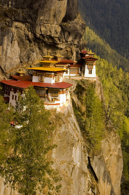 无人,寺庙,竖图,俯视,航拍,室外,白天,旅游,度假,森林,山,山脉,树林,植物,标志建筑,地标,建筑,不丹,亚洲,节日,山峰,山峦,燃烧,文化,娱乐,建设,树,树木,绿色,自然,香火,庙宇,群山,祈祷,享受,休闲,健康,旅游胜地,放松,许愿,宗教,佛教,信仰,生长,成长,纪念,祈求,鸟瞰,修道院,南亚,不丹王国,平安,彩图,高角度拍摄,庙,寺