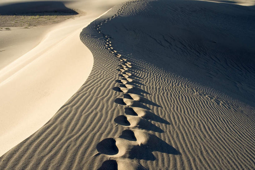 无人,横图,俯视,室外,白天,旅游,度假,美景,沙漠,美国,脚印,光线,光泽,景观,光芒,照射,娱乐,自然,享受,休闲,景色,放松,足迹,北美,北美洲,自然风光,美洲,照耀,光辉,科罗拉多州,科罗拉多,北亚美利加洲,亚美利加洲,行踪,脚迹,百年州,毫光,映照,大漠,砂漠,彩图,高角度拍摄