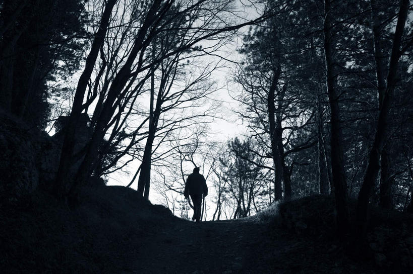 西方人,一个人,横图,阶调图片,室外,白天,仰视,旅游,度假,美景,树林,植物,欧洲,欧洲人,仅一个人,景观,背光,娱乐,树,树木,自然,享受,休闲,景色,放松,茂密,茂盛,生长,成长,昏暗,自然风光,逆光,灰暗,晦暗,白种人,半身,彩图,低角度拍摄