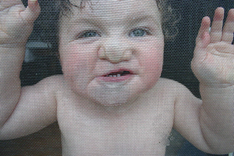 西方人,婴儿,儿童,脸,头,脸颊,赤膊,一个人,举,横图,室外,白天,正面,纯洁,欧洲,欧洲人,小孩,托,可爱,活泼,幽默,宝宝,诙谐,纯真,烂漫,无邪,风趣,伶俐,天真,白种人,孩子,头部,脸部,脸蛋,面部,举起,举手,举着,向上举,向上伸,向上托,半身,彩图