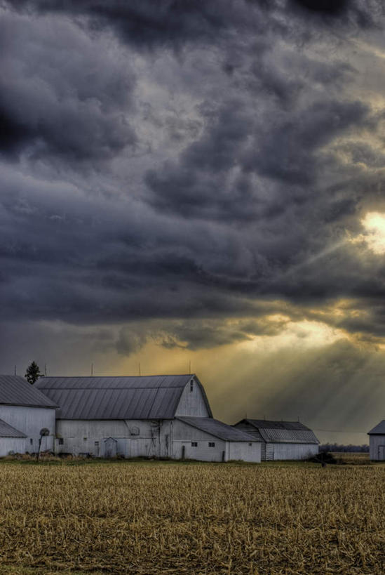 无人,家,农田,竖图,室外,白天,仰视,庄稼,农作物,玉米,一排,许多,整齐,光线,光泽,棒子,房屋,屋子,乌云,玉蜀黍,光芒,天气,很多,楼房,住宅,排列,天空,天,苞米,队列,苞芦,光辉,苞谷,包谷,大蜀黍,番麦,薏米包,玉高粱,玉麦,珍珠米,毫光,恶劣,彩图,低角度拍摄,耕地,庄稼田,房子