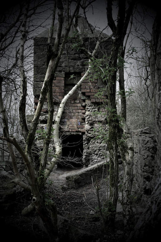 无人,竖图,室外,白天,正面,美景,树林,植物,废弃,阴影,反射,影子,砖块,屋子,景观,树桩,枝条,砖墙,废墟,树,树干,树木,树枝,自然,木桩,景色,生长,成长,自然风光,虬枝,枝杈,彩图,房子