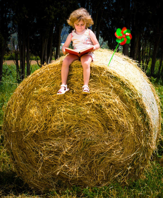 西方人,儿童,头发,一个人,坐,笑,微笑,竖图,室外,白天,正面,快乐,自由,幸福,纯洁,草地,草坪,植物,风车,书籍,玩具,欧洲,欧洲人,仅一个女性,仅一个人,握,阴影,服装,光线,影子,草堆,干草,拿,拿着,注视,休闲装,娱乐,草,树,树木,小孩,衣服,绿色,阳光,自然,草垛,打开,翻开,观察,看,仅一个小孩,休闲,喜庆,休闲服,金色,活力,可爱,童年,童趣,握着,服饰,生长,成长,观看,希望,吉祥,察看,象征,关注,和平,梦想,童真,烂漫,无邪,忠诚,进取,灵动,勇敢,勤奋,掀开,天真,团结,幸运,女孩,女人,女性,白种人,孩子,书,图书,坐着,彩图,全身,女生