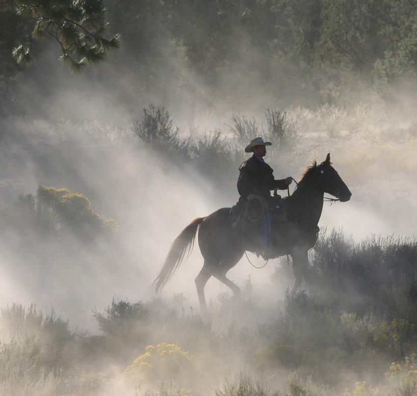 西方人,一个人,跑,横图,室外,白天,侧面,锻炼,运动,马,野生动物,欧洲,欧洲人,仅一个男性,仅一个人,骑马,阴影,光线,影子,尘埃,一匹,仅一个年轻男性,阳光,动物,运输,牲畜,灰尘,尘土,体育,男人,男性,年轻男性,白种人,跑步,彩图,全身,健身