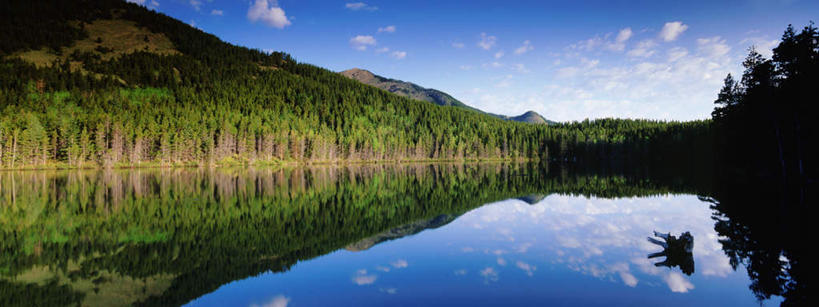 无人,横图,室外,白天,正面,旅游,度假,河流,美景,森林,树林,水,植物,加拿大,阴影,反射,影子,河水,景观,水流,云,云朵,云彩,娱乐,树,树木,蓝色,绿色,白云,倒影,蓝天,天空,自然,天,享受,休闲,景色,放松,生长,晴朗,成长,倒映,北美,北美洲,自然风光,美洲,阿尔伯塔省,阿尔伯塔,北亚美利加洲,亚美利加洲,艾伯塔,艾伯塔省,反照,晴空,彩图