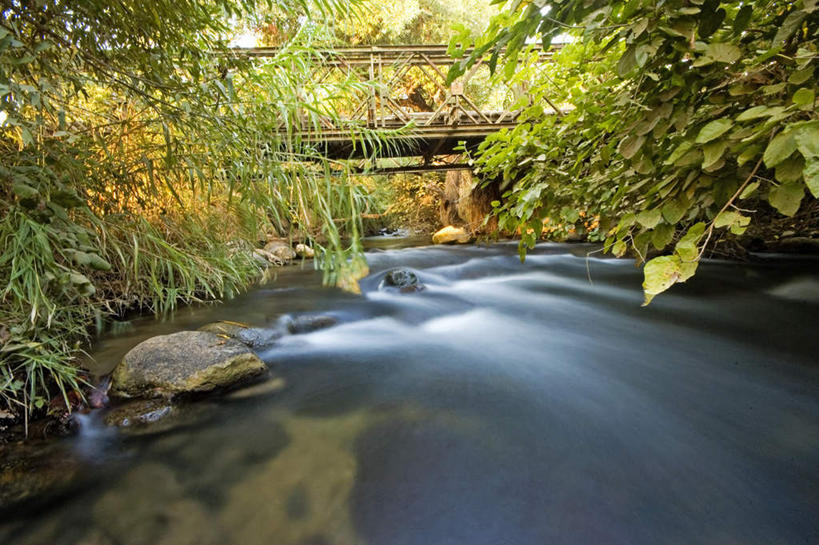 无人,横图,室外,白天,正面,旅游,度假,河流,石头,美景,树林,水,植物,以色列,亚洲,石子,河水,景观,水流,娱乐,树,树木,绿色,小溪,自然,溪水,享受,休闲,景色,放松,生长,成长,自然风光,西亚,以色列国,石块,岩石,彩图