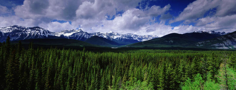 无人,横图,室外,白天,正面,旅游,度假,草地,草坪,美景,山,山脉,植物,加拿大,阴影,光线,影子,景观,山峰,云,云朵,山峦,云彩,娱乐,草,树,树木,蓝色,绿色,白云,蓝天,天空,阳光,自然,群山,天,享受,休闲,景色,放松,生长,晴朗,成长,北美,北美洲,自然风光,美洲,洛矶山脉,落基山脉,北亚美利加洲,亚美利加洲,亚伯达盆地,晴空,彩图