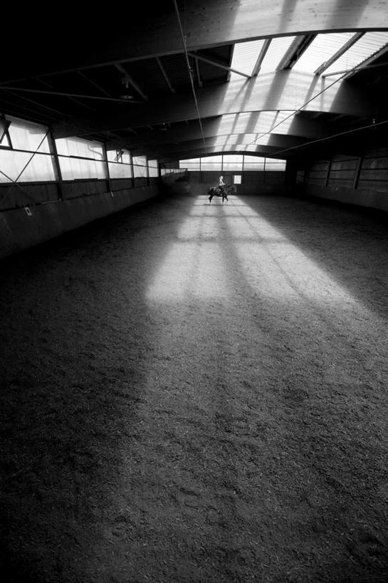 西方人,一个人,运动员,坐,竖图,俯视,黑白,室内,白天,锻炼,窗户,马,野生动物,玻璃,欧洲,欧洲人,仅一个年轻女性,仅一个女性,仅一个人,阴影,反射,影子,墙,屋顶,训练,顶棚,一匹,玻璃窗,墙壁,墙面,玻璃制品,动物,驾驶,行驶,运输,牲畜,操纵,控制,练习,马术,操控,把持,年轻女性,女人,女性,白种人,体育运动员,运动选手,坐着,高角度拍摄,全身