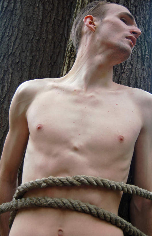 西方人,一个人,站,竖图,室外,白天,正面,欧洲,欧洲人,仅一个男性,仅一个人,树桩,扭头,注视,捆,裸露,树,树干,仅一个年轻男性,绳子,绑,观察,看,站着,转头,木桩,赤裸,观看,绳索,察看,关注,裸,男人,男性,年轻男性,白种人,站立,半身,彩图