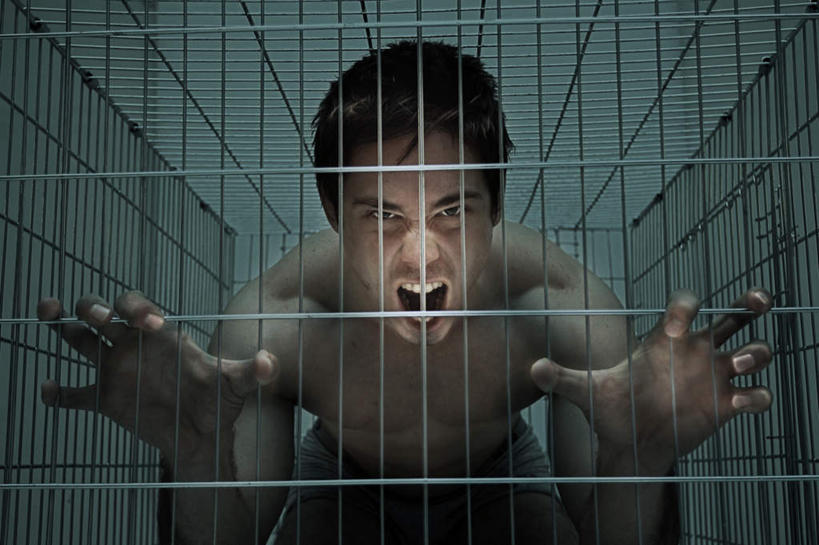 西方人,一个人,蹲,横图,室内,白天,仰视,房间,欧洲,欧洲人,仅一个男性,仅一个人,弯腰,阴影,光线,影子,灯光,笼子,注视,裸露,仅一个年轻男性,观察,看,伸,张嘴,赤裸,观看,屈,察看,关注,裸,张大嘴巴,弯身,男人,男性,年轻男性,白种人,张开嘴,蹲着,半身,彩图,低角度拍摄