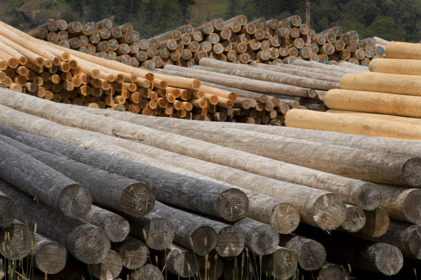 无人,木匠,横图,室外,白天,正面,一堆,一排,阴影,堆叠,堆积,整齐,光线,木头,影子,排列,阳光,堆,环境,队列,木工,彩图