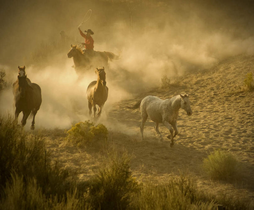 西方人,一个人,跑,竖图,室外,白天,正面,锻炼,运动,草地,草坪,植物,道路,路,欧洲,欧洲人,仅一个男性,仅一个人,仅一个中年男性,骑马,阴影,光线,影子,小路,交通,尘埃,草,绿色,阳光,灰尘,尘土,体育,男人,男性,中年男性,白种人,跑步,彩图,全身,健身