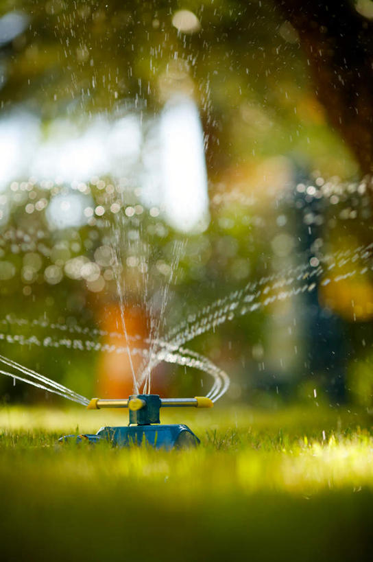 无人,竖图,室外,白天,正面,旅游,度假,灌溉,草地,草坪,美景,植物,阴影,飞溅,朦胧,模糊,溅,光线,液体,影子,庭院,景观,水滴,旋转,娱乐,喷水,水珠,草,树,树木,绿色,阳光,自然,享受,休闲,景色,放松,转动,洒水,生长,成长,天井,浇灌,滋润,喷洒,自然风光,洒水机,彩图