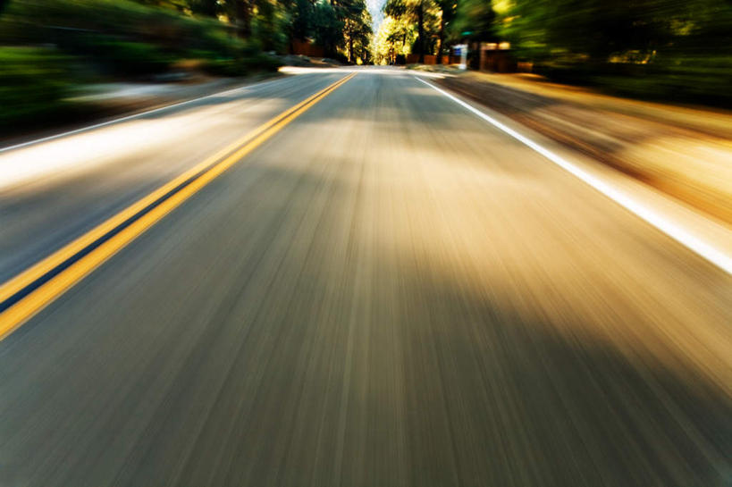 无人,横图,俯视,室外,白天,树林,植物,阴影,朦胧,模糊,光线,影子,分界线,停车线,树,树木,绿色,阳光,自然,生长,成长,车行道,车行道分界线,标线,车行线,彩图,高角度拍摄