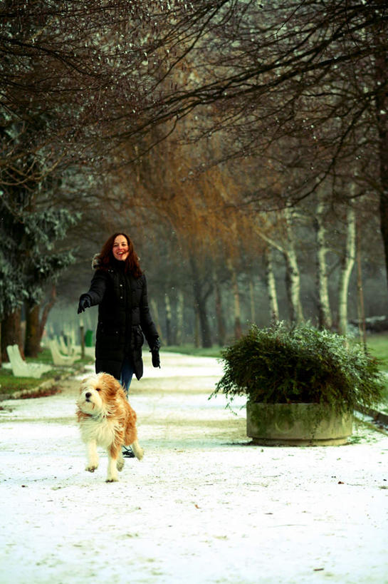 西方人,一个人,走,笑,微笑,露齿笑,竖图,室外,白天,正面,草地,草坪,雪,植物,大雪,宠物,狗,欧洲,欧洲人,仅一个年轻女性,仅一个女性,仅一个人,一条,牵,阴影,服装,光线,影子,积雪,雪景,冬季,冬天,注视,休闲装,草,树,树木,衣服,黄色,绿色,黑色,阳光,自然,动物,观察,看,休闲,休闲服,寒冷,可爱,服饰,生长,成长,观看,牵着,察看,关注,藏獒,忠诚,严寒,年轻女性,女人,女性,白种人,犬,步行,散步,走路,彩图,全身