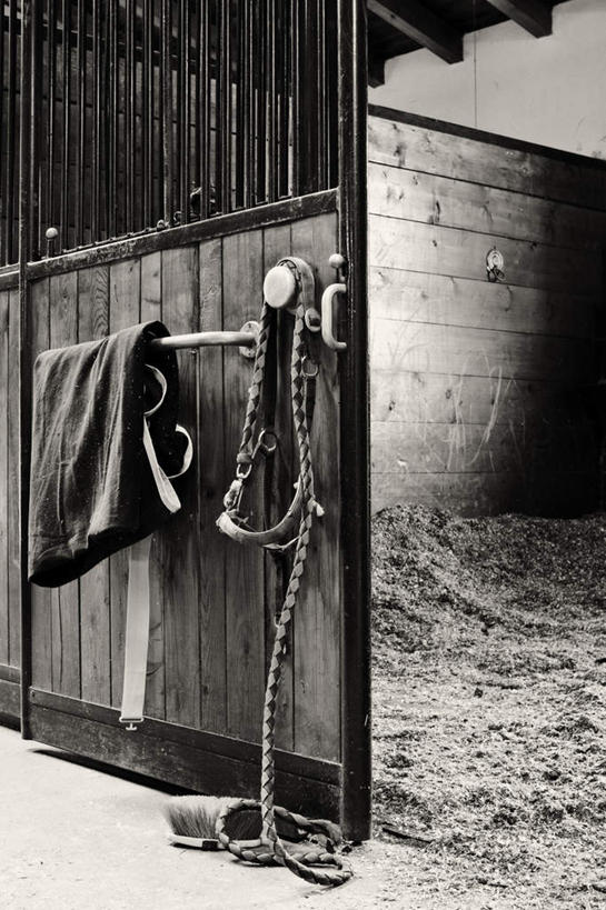 无人,栏杆,竖图,室内,白天,正面,旅游,度假,美景,墙,景观,围栏,马厩,娱乐,护栏,墙壁,墙面,自然,绳子,享受,休闲,景色,放松,铁链,绳索,缰绳,自然风光,彩图