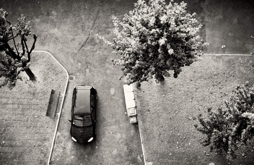 无人,横图,俯视,室外,白天,草地,草坪,植物,道路,路,汽车,一辆,阴影,光线,影子,小路,交通,车,草,树,树木,绿色,黑色,阳光,自然,交通工具,轿车,驾驶,行驶,生长,成长,操纵,控制,载具,操控,把持,彩图,高角度拍摄