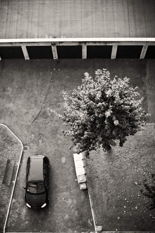 无人,竖图,俯视,室外,白天,草地,草坪,植物,道路,路,汽车,一辆,阴影,光线,影子,小路,交通,车,草,树,树木,绿色,黑色,阳光,自然,交通工具,轿车,驾驶,行驶,生长,成长,操纵,控制,载具,操控,把持,彩图,高角度拍摄