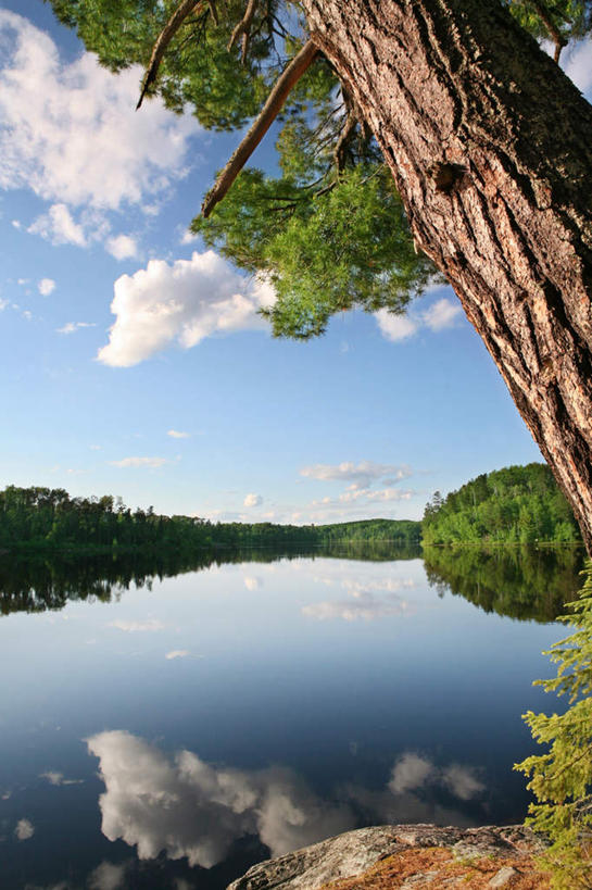 无人,竖图,室外,白天,正面,旅游,度假,美景,植物,美国,阴影,光线,影子,景观,云,云朵,云彩,娱乐,树,树木,蓝色,绿色,白云,倒影,蓝天,天空,阳光,自然,天,享受,休闲,景色,放松,生长,晴朗,成长,倒映,北美,北美洲,自然风光,美洲,明尼苏达州,北亚美利加洲,亚美利加洲,明尼苏达,北星之州,反照,晴空,彩图