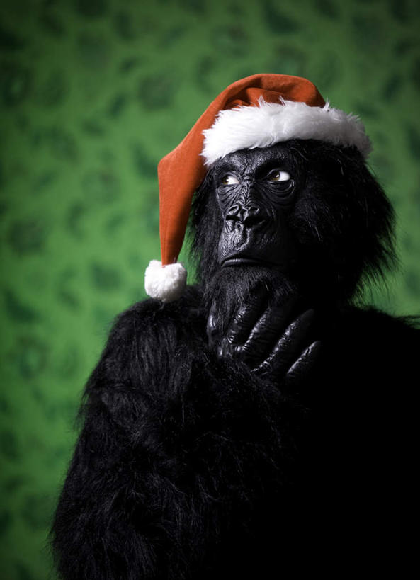 西方人,一个人,竖图,室内,特写,白天,正面,帽子,欧洲,圣诞节,欧洲人,仅一个男性,仅一个人,节日,朦胧,模糊,庆祝,面具,注视,文化,仅一个年轻男性,红色,观察,看,庆典,圣诞帽,观看,纪念,察看,关注,棉帽,妆扮,男人,男性,年轻男性,白种人,半身,彩图,打扮,装扮