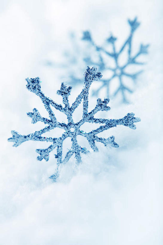 无人,竖图,室外,特写,白天,正面,雪,大雪,形状,朦胧,模糊,装饰,积雪,雪景,冬季,冬天,寒冷,华丽,修饰,点缀,衬托,美观,雅致,雅观,严寒,形态,外形,彩图