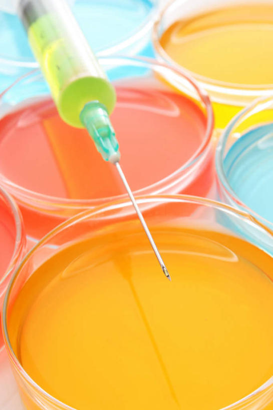 无人,竖图,俯视,彩色,室内,特写,白天,实验,仪器,静物,一排,研究,整齐,分析,化学,测试,培养皿,试剂,排列,一个,器皿,针管,针筒,生物,注射,单个,医疗,医疗设备,注射器,队列,皮氏培养皿,试验耗材,实验用品,化学器材,彩图,高角度拍摄