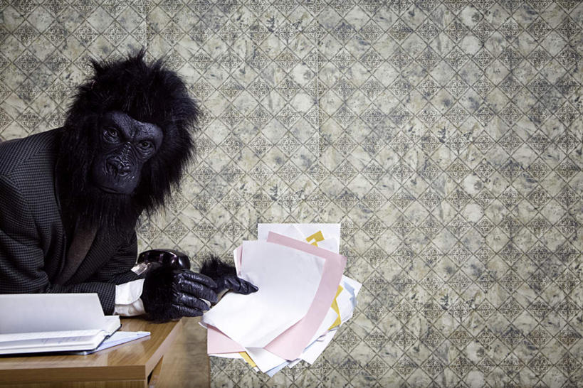 西方人,一个人,商务人士,商务男性,横图,室内,白天,侧面,衬衫,桌子,猩猩,欧洲,欧洲人,仅一个男性,仅一个人,仅一个中年男性,一堆,许多,戴,堆叠,堆积,套装,木制,材料,档案,面具,文件,很多,注视,一个,木制品,资料,观察,看,趴着,单个,观看,堆,戴着,察看,关注,大猩猩,文档,商务装,工薪阶层,金刚猩猩,妆扮,男人,男性,中年男性,白种人,白领,上班族,趴,半身,彩图,衬衣,打扮,装扮