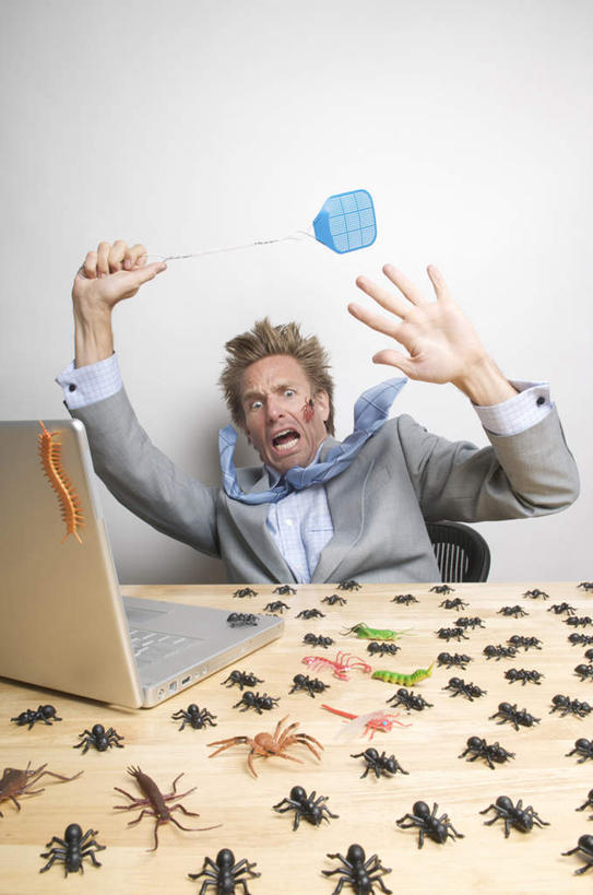 西方人,一个人,商务人士,商务男性,坐,举,竖图,室内,白天,正面,衬衫,电脑,笔记本电脑,欧洲,欧洲人,仅一个男性,仅一个人,套装,网络,昆虫,蜘蛛,通讯设备,仅一个年轻男性,动物,托,害怕,无线,八脚螅,胆怯,通信设备,商务装,无线网络,节肢动物,益虫,无线上网,便携式电脑,工薪阶层,畏惧,波丝,幽灵蛛,手提电脑,男人,男性,年轻男性,白种人,白领,上班族,举起,举手,举着,向上举,向上伸,向上托,坐着,半身,彩图,衬衣