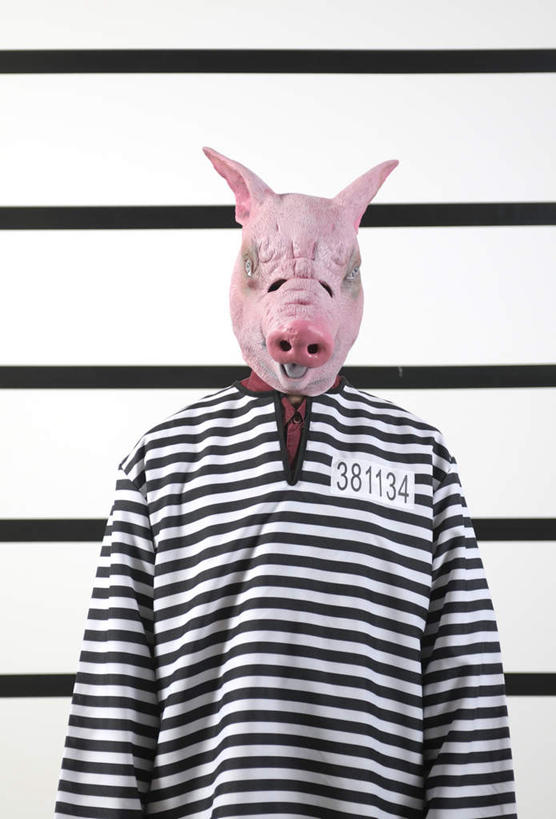 西方人,一个人,站,竖图,室内,白天,正面,猪,欧洲,欧洲人,仅一个男性,仅一个人,服装,装饰,标志,格子,面具,数字,文字,字符,墙,标识,墙壁,墙面,仅一个年轻男性,衣服,白色,黑色,动物,站着,家畜,阿拉伯数字,服饰,牲畜,华丽,修饰,点缀,衣着,犯人,穿着,囚犯,衬托,美观,雅致,雅观,衣饰,监犯,囚徒,罪人,男人,男性,年轻男性,白种人,站立,半身,彩图