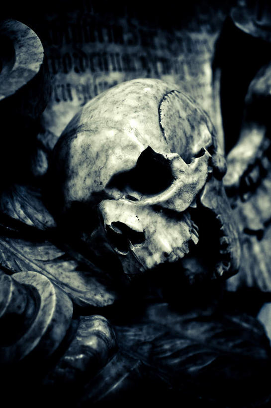 颅骨,无人,竖图,俯视,室外,特写,白天,光晕,阴影,朦胧,模糊,光线,骷髅,影子,墓地,坟墓,陵墓,昏暗,恐怖,坟场,可怕,可骇,鼻骨,顶骨,额骨,颈椎,颞骨,下颌骨,颧骨,灰暗,晦暗,墓穴,泉台,恐惧,头盖骨,彩图,高角度拍摄