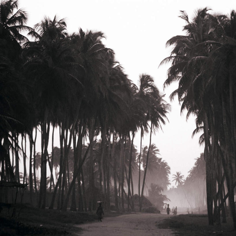 西方人,一个人,走,方图,室外,白天,仰视,旅游,度假,美景,树林,植物,雾,道路,路,欧洲,非洲,贝宁,黑人,欧洲人,仅一个女性,仅一个人,阴影,服装,朦胧,模糊,光线,影子,景观,云,云朵,小路,交通,云彩,注视,休闲装,娱乐,树,树木,衣服,绿色,白云,天空,阳光,自然,天,观察,看,仅一个中年女性,享受,休闲,休闲服,景色,放松,服饰,乡间小路,生长,成长,观看,迷雾,察看,关注,自然风光,西非,女人,女性,中年女性,非洲人,大雾,步行,散步,走路,彩图,低角度拍摄,全身