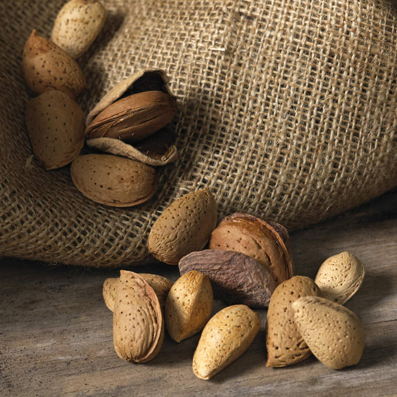 无人,竖图,室内,白天,正面,地板,杏仁,袋子,一堆,许多,堆叠,堆积,地面,很多,麻袋,木地板,容器,储藏,堆,储存,杏子,杏梅仁,杏核仁,木落子,苦杏仁,彩图,贮存