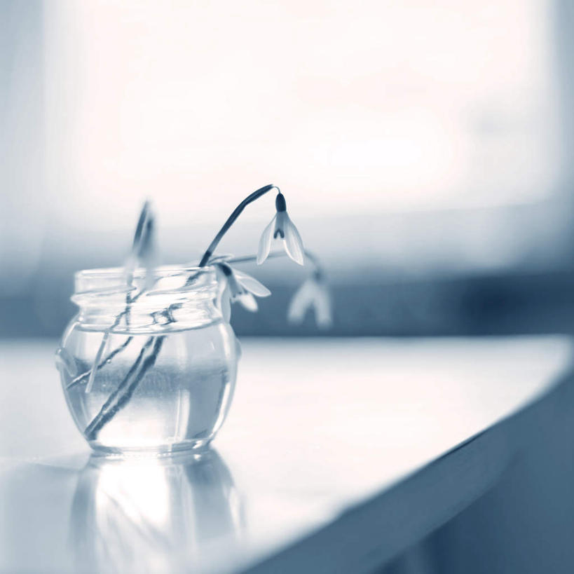 无人,方图,室内,特写,白天,正面,安全,桌面,桌子,阴影,朦胧,模糊,平静,反射,木制,罐子,影子,玻璃制品,一朵,玻璃瓶,木制品,瓶子,宁静,新生,脆弱,清新,和平,安详,雪花莲,雪片莲,生日花,太平,安适,安好,宁靖,彩图