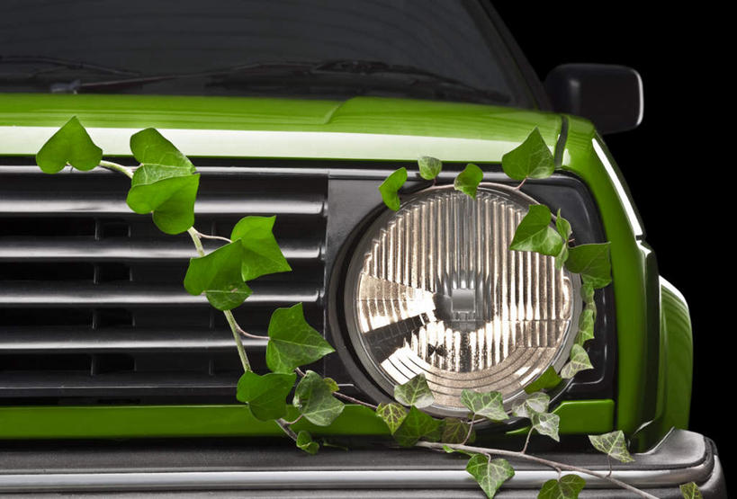 无人,横图,室外,特写,白天,正面,植物,窗户,落地窗,汽车,叶子,照明,一辆,阴影,光线,影子,长春藤,常春藤,绿叶,反光镜,玻璃窗,车,灯,一个,绿色,阳光,自然,灯具,交通工具,轿车,嫩叶,生长,单个,成长,照亮,照明设备,载具,前照灯,前大灯,车前灯,永恒,不朽,忠实,洋常春藤,叶,叶片,彩图,常青藤