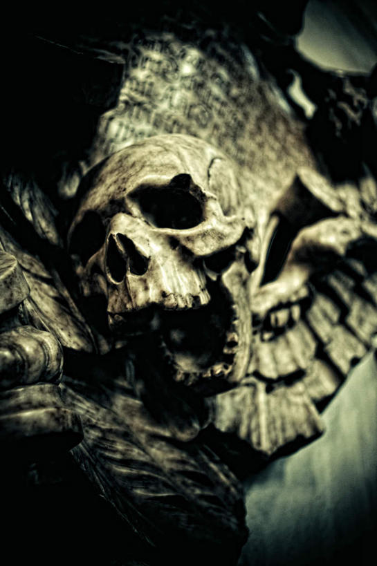 颅骨,无人,竖图,俯视,室外,特写,白天,静物,阴影,光线,骷髅,影子,一个,阳光,张嘴,墓地,单个,坟墓,陵墓,恐怖,张大嘴巴,坟场,可怕,可骇,鼻骨,顶骨,额骨,颞骨,下颌骨,颧骨,恐惧,头盖骨,张开嘴,彩图,高角度拍摄